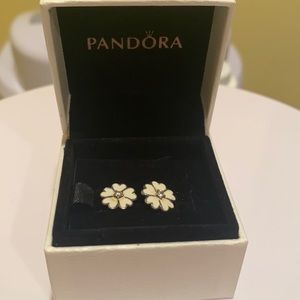 Pandora Earrings